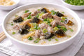 Congee: Traditioneller chinesischer Reisbrei mit Pidan & Fleisch