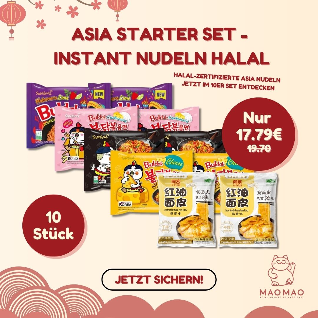 Asia Starter Set - Instant Nudeln Halal