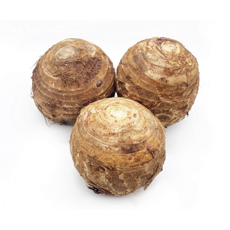 Frischer Taro Größe: M (500-600g)