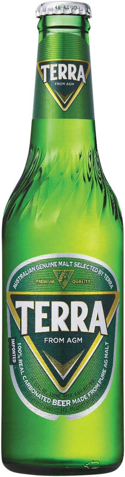JINRO TERRA Beer (4.6% Alc.) 330ml (SINGLE USE)