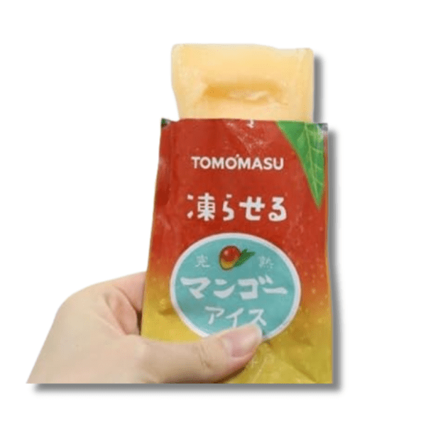 TOMOMASU Mango Sorbet 80g - MAOMAO